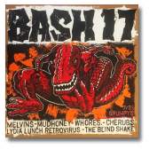 BASH 17 -front