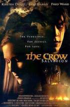 The Crow -front